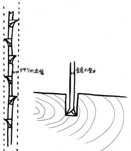 あさり 歯振 Arbre Store