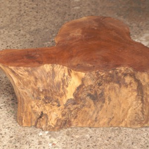 specialwood_006